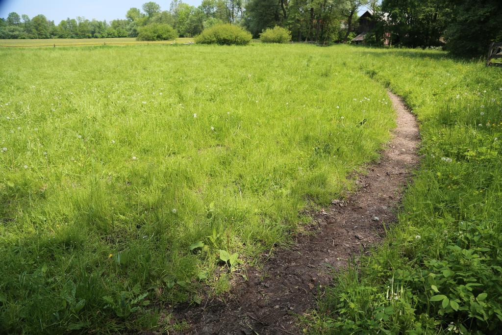 Gospodarstwo Agroturystyczne Stary Mlyn Wilczkowice Михаловице Екстериор снимка
